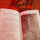 Livro Viver de Amor: A Estranha Loucura