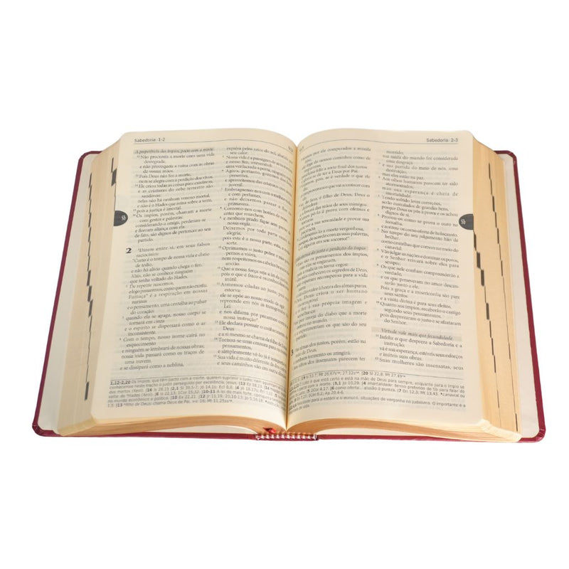 Biblia Sagrada Capa Vinho Semi Luxo 6ª Edição