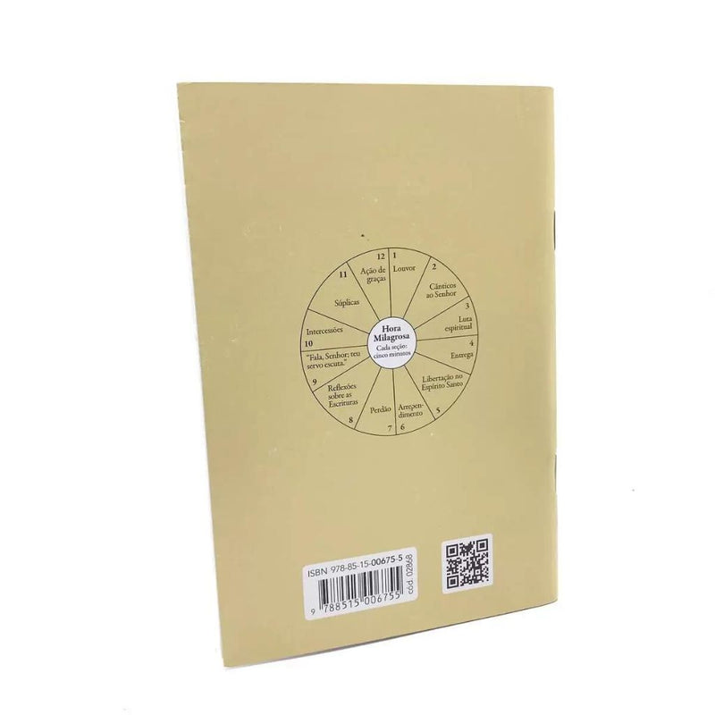 Livro A Hora Milagrosa - Linda Schubert