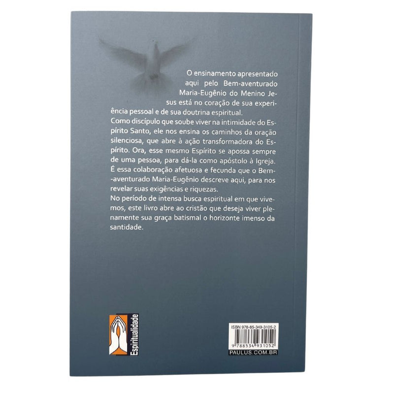 Livro Ao Sopro do Espírito: Oração e Ação