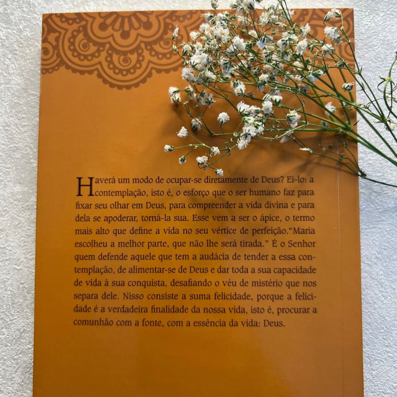 Livro Caminho de Perfeição - Santa Teresa de Jesus