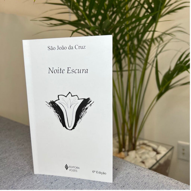 Livro Noite Escura - São João da Cruz